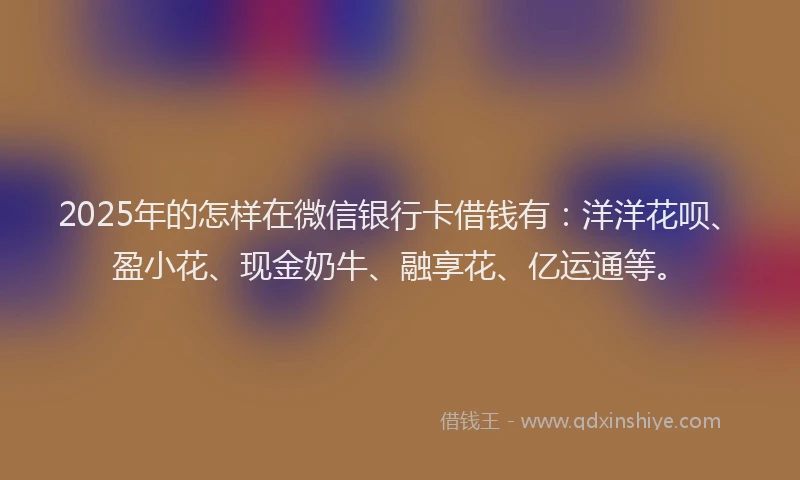 2025年的怎样在微信银行卡借钱有：洋洋花呗、盈小花、现金奶牛、融享花、亿运通等。