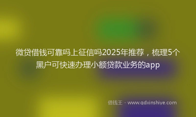 微贷借钱可靠吗上征信吗2025年推荐，梳理5个黑户可快速办理小额贷款业务的app