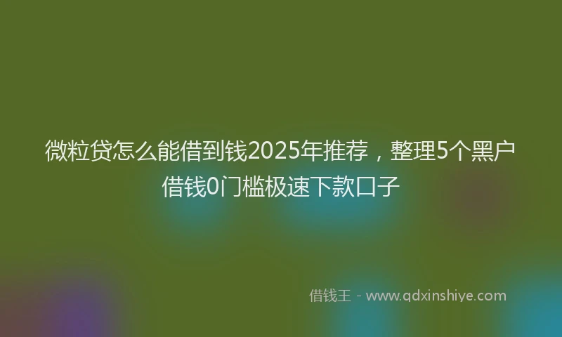 微粒贷怎么能借到钱2025年推荐，整理5个黑户借钱0门槛极速下款口子