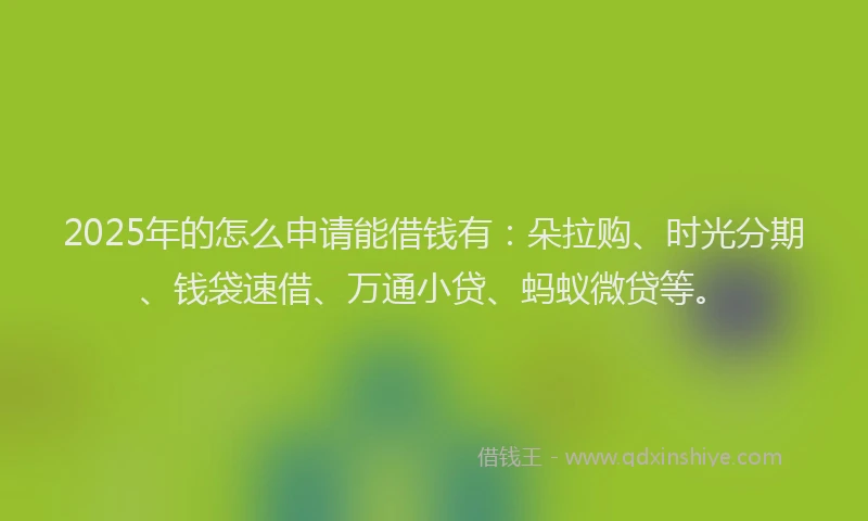 2025年的怎么申请能借钱有：朵拉购、时光分期、钱袋速借、万通小贷、蚂蚁微贷等。