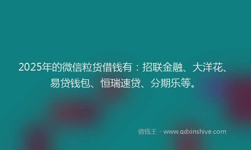 2025年的微信粒货借钱有：招联金融、大洋花、易贷钱包、恒瑞速贷、分期乐等。