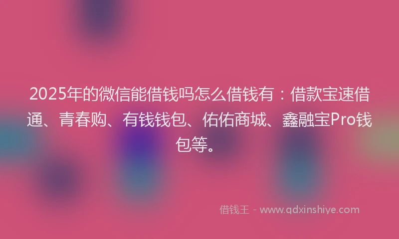 2025年的微信能借钱吗怎么借钱有：借款宝速借通、青春购、有钱钱包、佑佑商城、鑫融宝Pro钱包等。