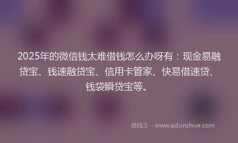 2025年的微信钱太难借钱怎么办呀有：现金易融贷宝、钱速融贷宝、信用卡管家、快易借速贷、钱袋瞬贷宝等。