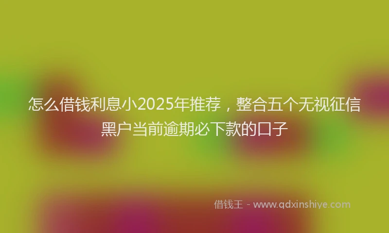 怎么借钱利息小2025年推荐，整合五个无视征信黑户当前逾期必下款的口子