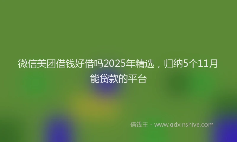 微信美团借钱好借吗2025年精选，归纳5个11月能贷款的平台