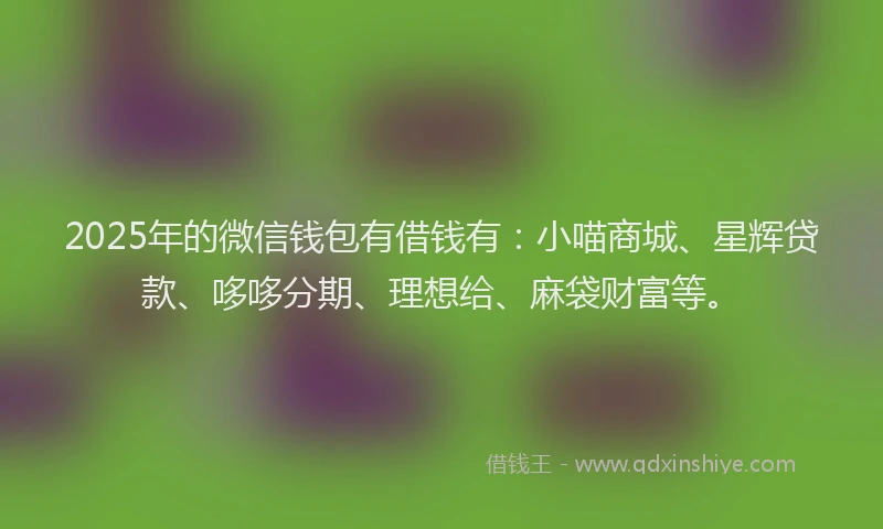 2025年的微信钱包有借钱有：小喵商城、星辉贷款、哆哆分期、理想给、麻袋财富等。