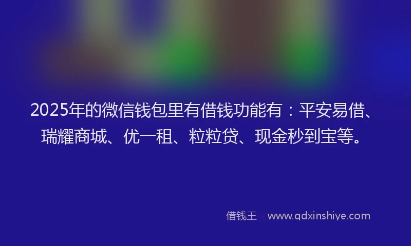 2025年的微信钱包里有借钱功能有：平安易借、瑞耀商城、优一租、粒粒贷、现金秒到宝等。
