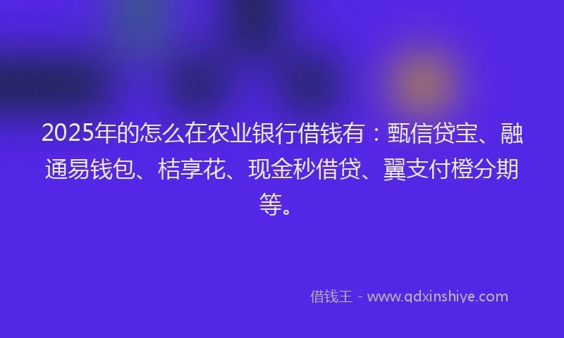 2025年的怎么在农业银行借钱有：甄信贷宝、融通易钱包、桔享花、现金秒借贷、翼支付橙分期等。