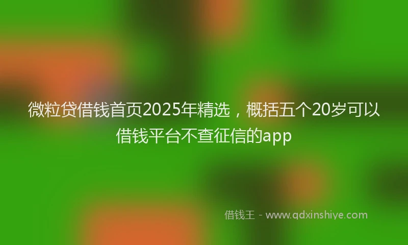 微粒贷借钱首页2025年精选，概括五个20岁可以借钱平台不查征信的app