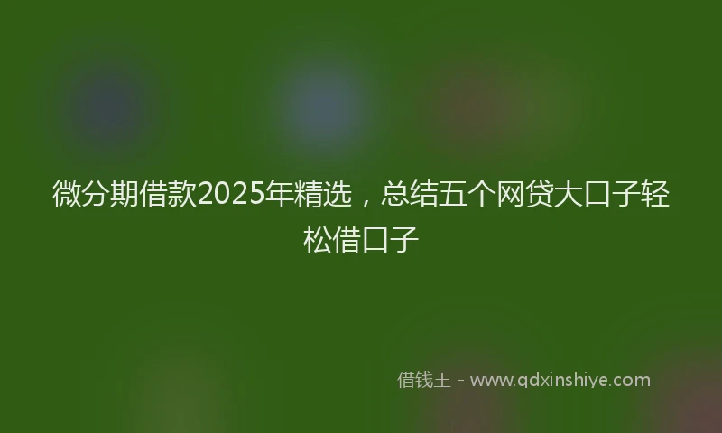 微分期借款2025年精选，总结五个网贷大口子轻松借口子