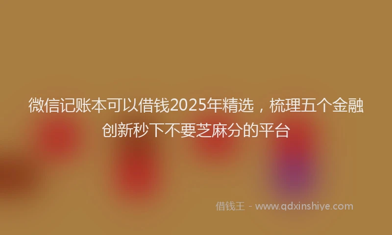 微信记账本可以借钱2025年精选，梳理五个金融创新秒下不要芝麻分的平台