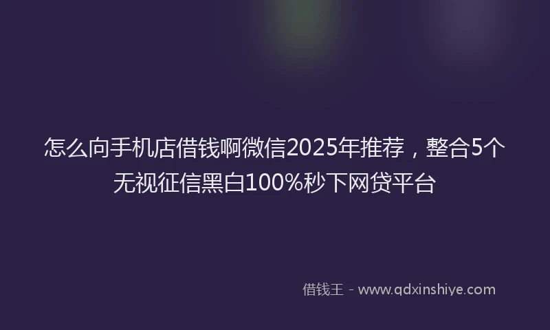 怎么向手机店借钱啊微信2025年推荐，整合5个无视征信黑白100%秒下网贷平台