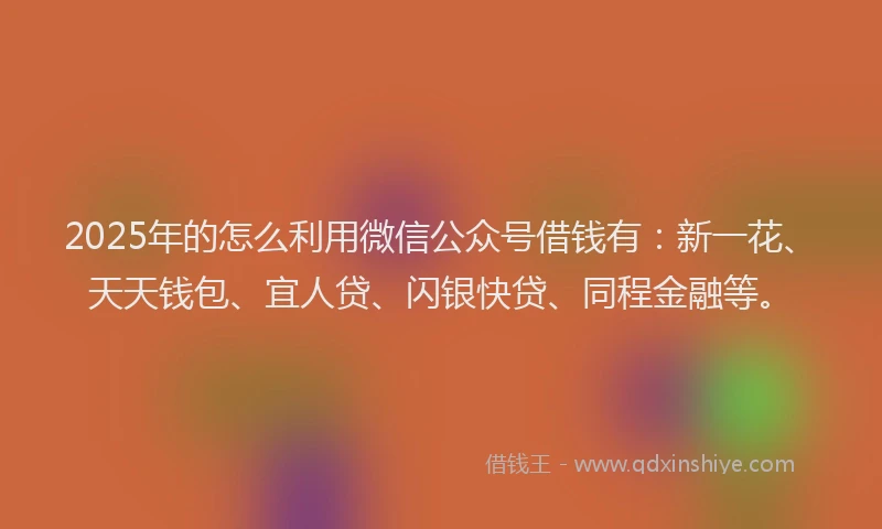 2025年的怎么利用微信公众号借钱有：新一花、天天钱包、宜人贷、闪银快贷、同程金融等。