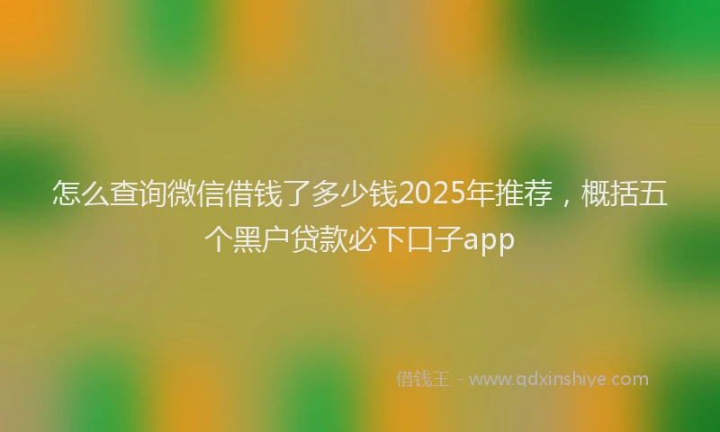 怎么查询微信借钱了多少钱2025年推荐，概括五个黑户贷款必下口子app