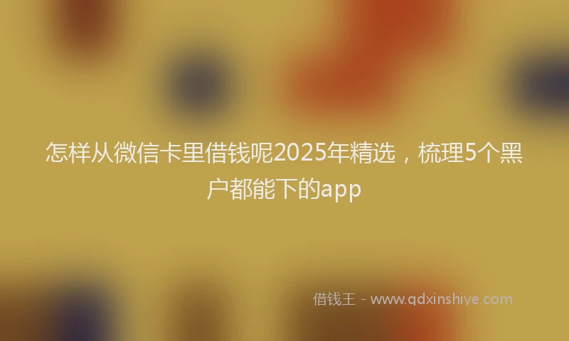怎样从微信卡里借钱呢2025年精选，梳理5个黑户都能下的app