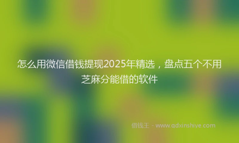 怎么用微信借钱提现2025年精选，盘点五个不用芝麻分能借的软件