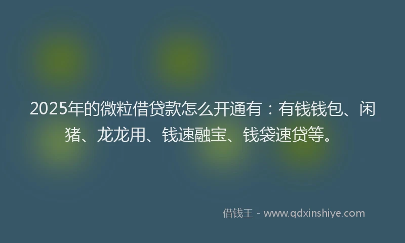 2025年的微粒借贷款怎么开通有：有钱钱包、闲猪、龙龙用、钱速融宝、钱袋速贷等。