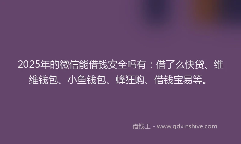 2025年的微信能借钱安全吗有：借了么快贷、维维钱包、小鱼钱包、蜂狂购、借钱宝易等。