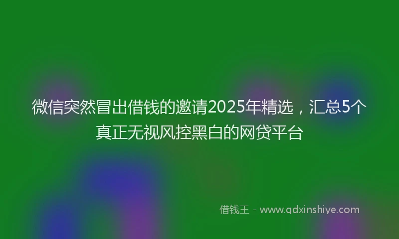 微信突然冒出借钱的邀请2025年精选，汇总5个真正无视风控黑白的网贷平台
