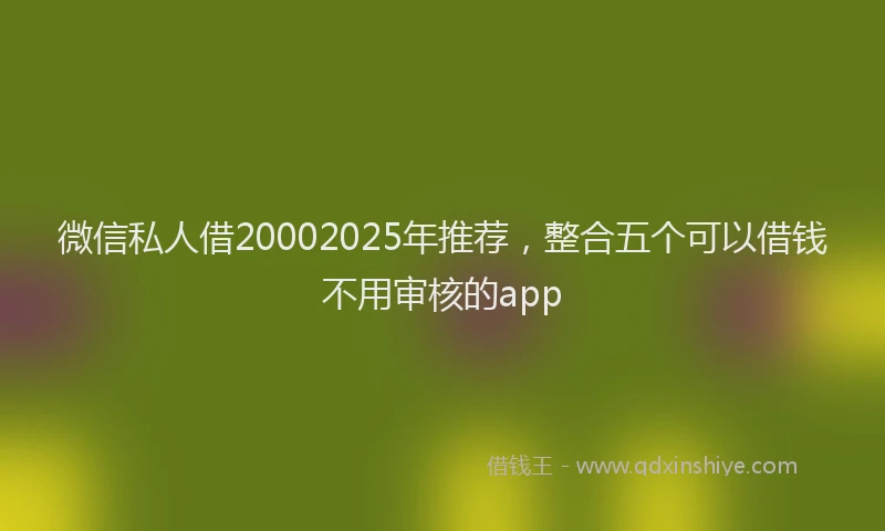 微信私人借20002025年推荐，整合五个可以借钱不用审核的app