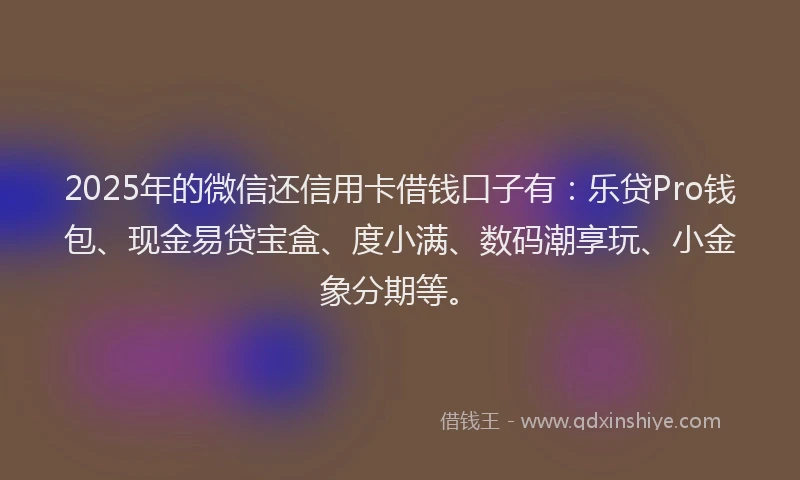 2025年的微信还信用卡借钱口子有：乐贷Pro钱包、现金易贷宝盒、度小满、数码潮享玩、小金象分期等。