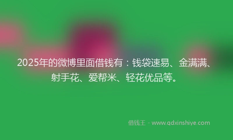 2025年的微博里面借钱有：钱袋速易、金满满、射手花、爱帮米、轻花优品等。