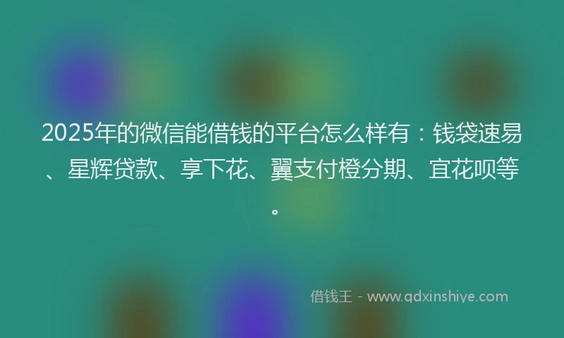2025年的微信能借钱的平台怎么样有：钱袋速易、星辉贷款、享下花、翼支付橙分期、宜花呗等。