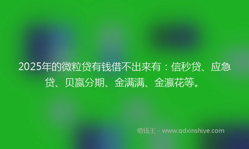 2025年的微粒贷有钱借不出来有：信秒贷、应急贷、贝赢分期、金满满、金瀛花等。
