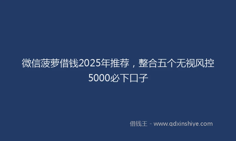 微信菠萝借钱2025年推荐，整合五个无视风控5000必下口子