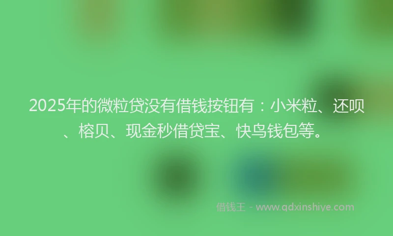 2025年的微粒贷没有借钱按钮有：小米粒、还呗、榕贝、现金秒借贷宝、快鸟钱包等。