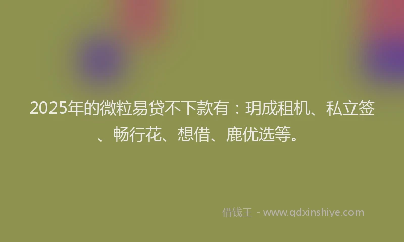2025年的微粒易贷不下款有：玥成租机、私立签、畅行花、想借、鹿优选等。