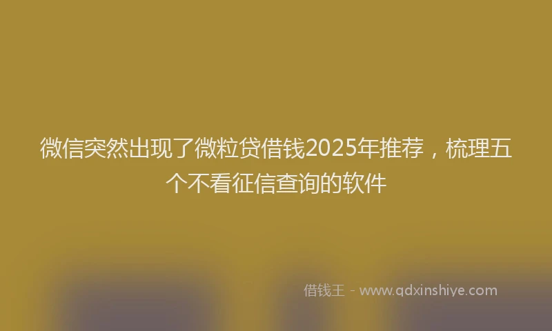 微信突然出现了微粒贷借钱2025年推荐，梳理五个不看征信查询的软件