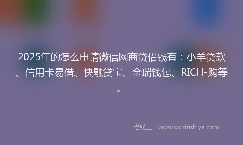 2025年的怎么申请微信网商贷借钱有：小羊贷款、信用卡易借、快融贷宝、金瑞钱包、RICH-购等。