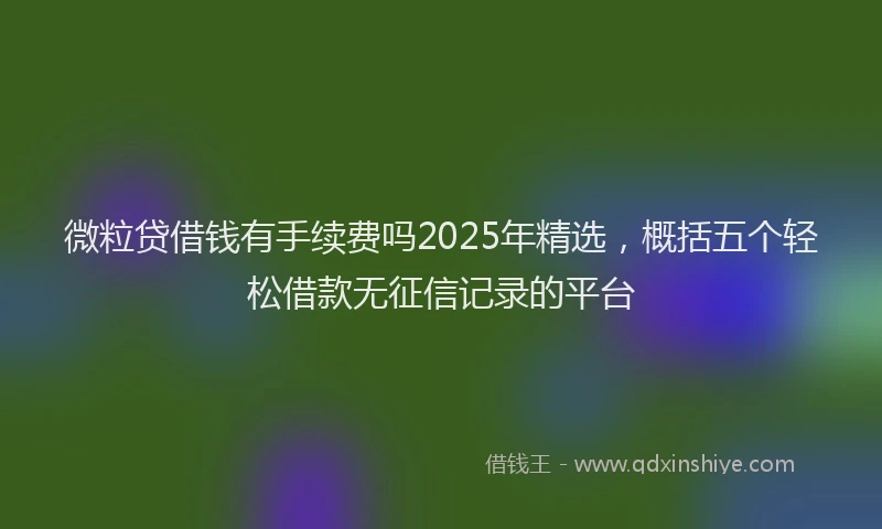 微粒贷借钱有手续费吗2025年精选，概括五个轻松借款无征信记录的平台