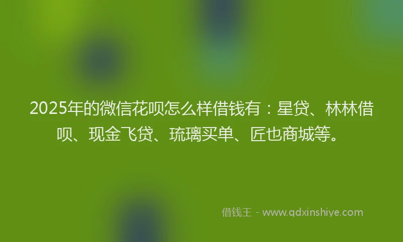 2025年的微信花呗怎么样借钱有：星贷、林林借呗、现金飞贷、琉璃买单、匠也商城等。