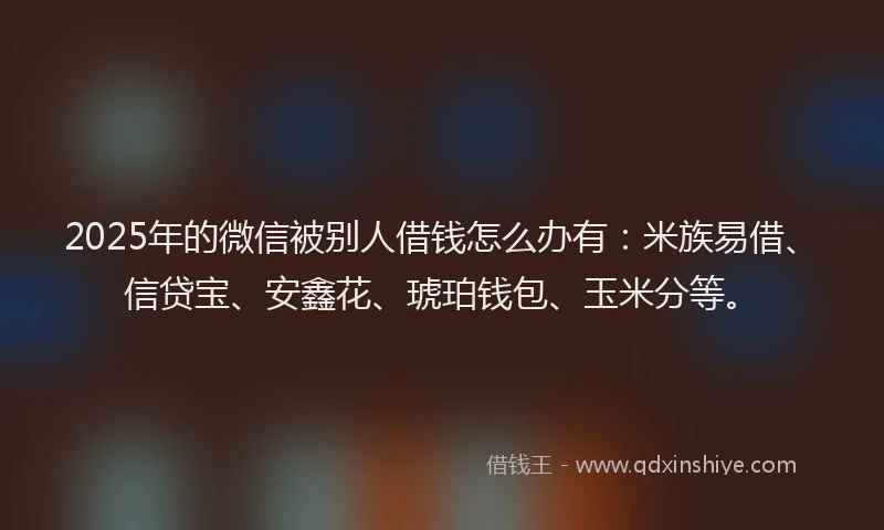 2025年的微信被别人借钱怎么办有：米族易借、信贷宝、安鑫花、琥珀钱包、玉米分等。