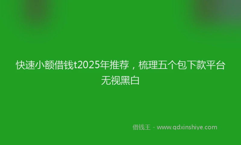 快速小额借钱t2025年推荐，梳理五个包下款平台无视黑白