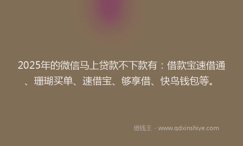 2025年的微信马上贷款不下款有：借款宝速借通、珊瑚买单、速借宝、够享借、快鸟钱包等。