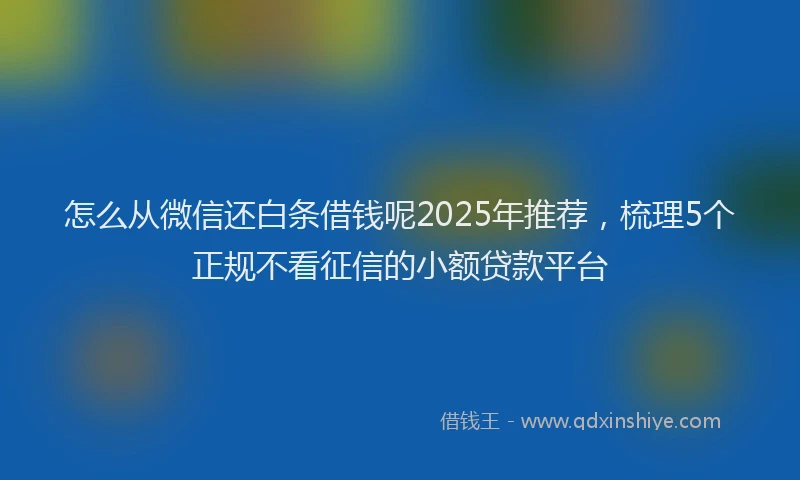 怎么从微信还白条借钱呢2025年推荐，梳理5个正规不看征信的小额贷款平台