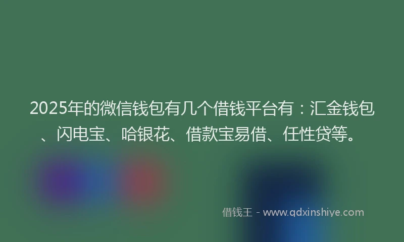 2025年的微信钱包有几个借钱平台有：汇金钱包、闪电宝、哈银花、借款宝易借、任性贷等。