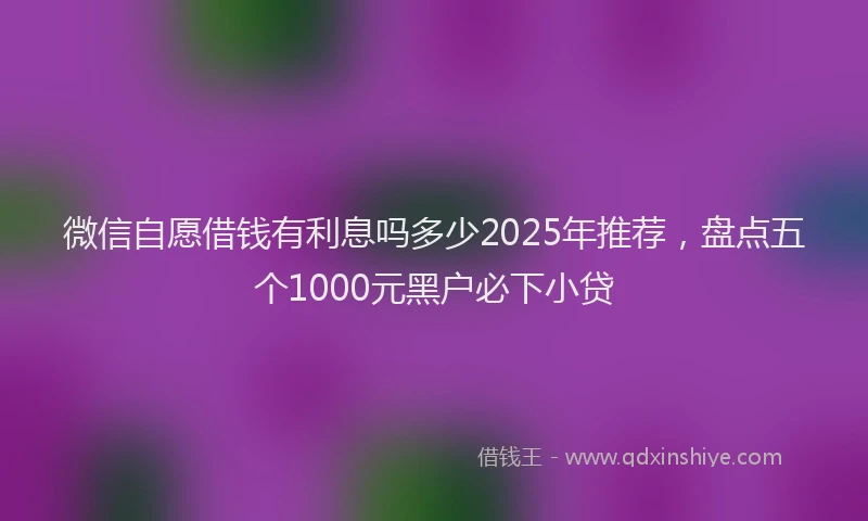 微信自愿借钱有利息吗多少2025年推荐，盘点五个1000元黑户必下小贷