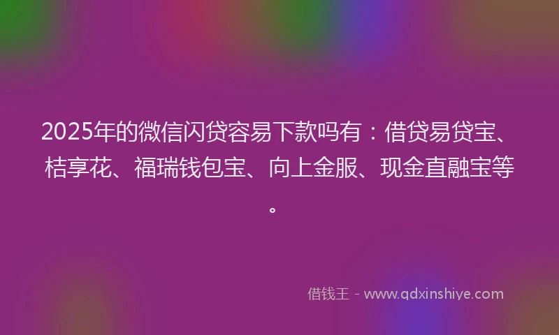 2025年的微信闪贷容易下款吗有：借贷易贷宝、桔享花、福瑞钱包宝、向上金服、现金直融宝等。