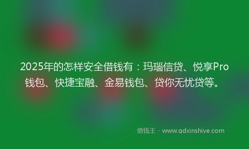 2025年的怎样安全借钱有：玛瑙信贷、悦享Pro钱包、快捷宝融、金易钱包、贷你无忧贷等。