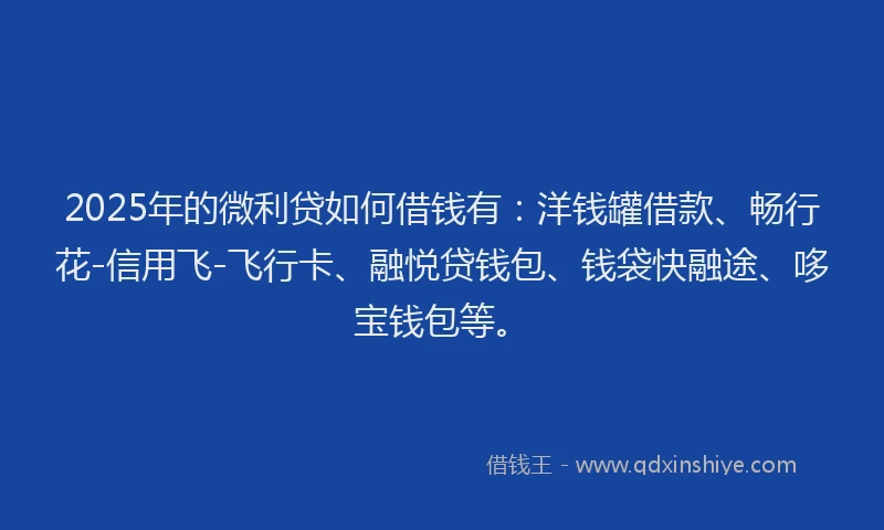 2025年的微利贷如何借钱有：洋钱罐借款、畅行花-信用飞-飞行卡、融悦贷钱包、钱袋快融途、哆宝钱包等。