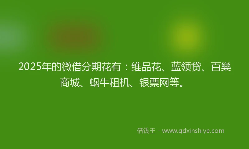 2025年的微借分期花有：维品花、蓝领贷、百樂商城、蜗牛租机、银票网等。