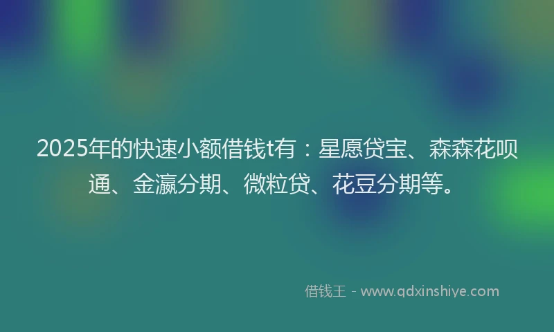 2025年的快速小额借钱t有：星愿贷宝、森森花呗通、金瀛分期、微粒贷、花豆分期等。