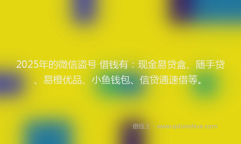 2025年的微信盗号 借钱有：现金易贷盒、随手贷、易橙优品、小鱼钱包、信贷通速借等。