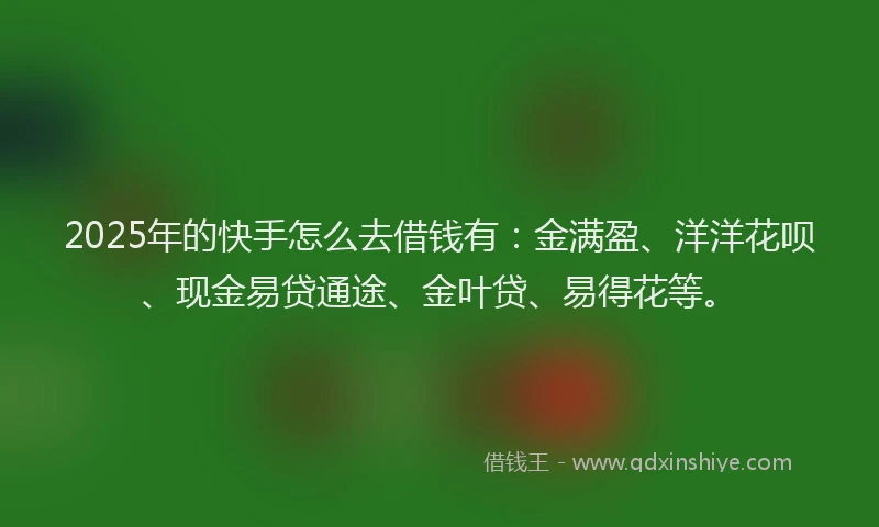 2025年的快手怎么去借钱有：金满盈、洋洋花呗、现金易贷通途、金叶贷、易得花等。