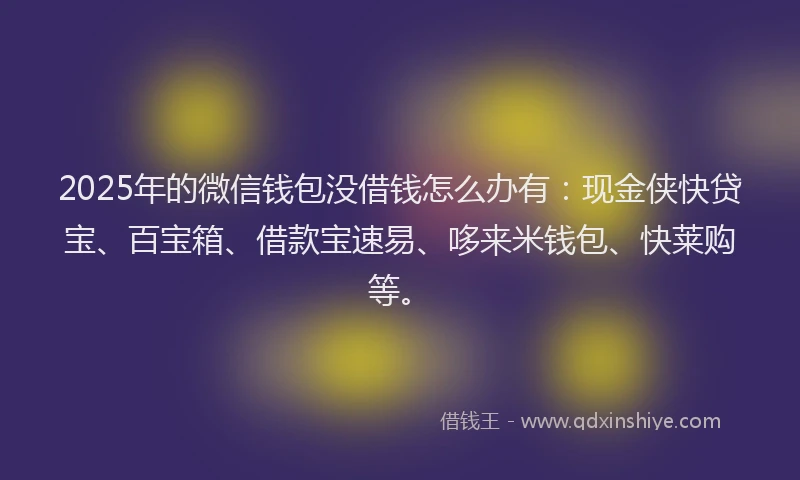 2025年的微信钱包没借钱怎么办有：现金侠快贷宝、百宝箱、借款宝速易、哆来米钱包、快莱购等。