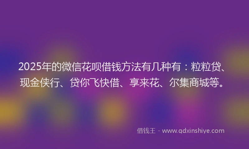 2025年的微信花呗借钱方法有几种有：粒粒贷、现金侠行、贷你飞快借、享来花、尔集商城等。